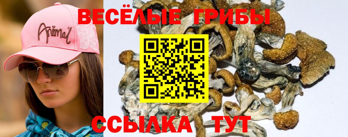 Бутират Керчь